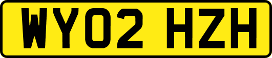 WY02HZH