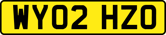 WY02HZO