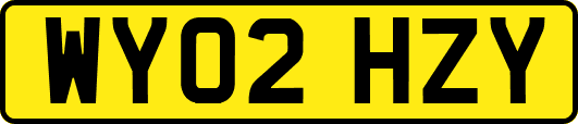 WY02HZY