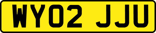 WY02JJU