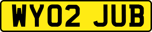 WY02JUB