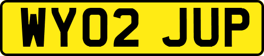 WY02JUP