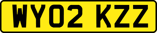 WY02KZZ