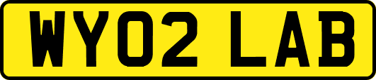 WY02LAB
