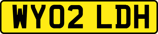 WY02LDH