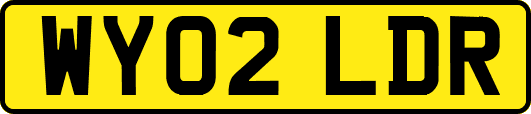 WY02LDR