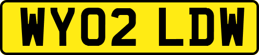 WY02LDW