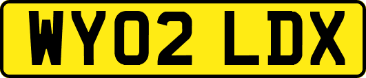 WY02LDX