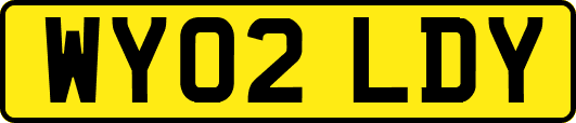 WY02LDY