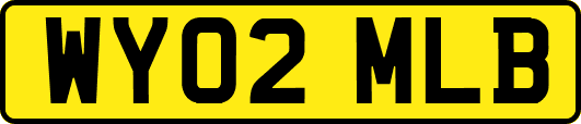 WY02MLB