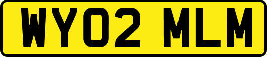 WY02MLM