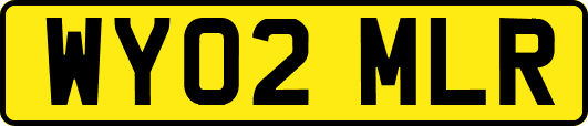WY02MLR