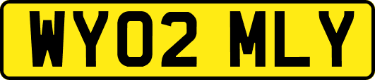 WY02MLY