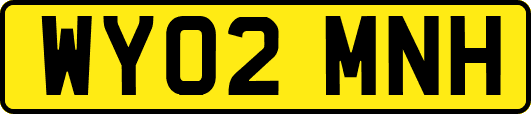 WY02MNH