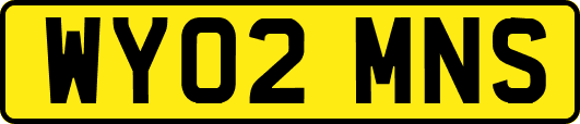 WY02MNS