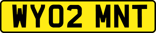 WY02MNT