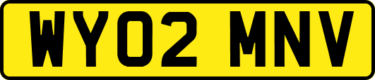 WY02MNV