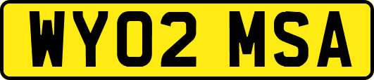 WY02MSA