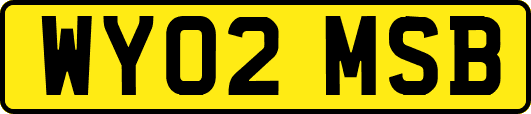 WY02MSB