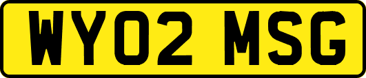 WY02MSG