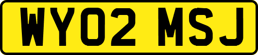 WY02MSJ