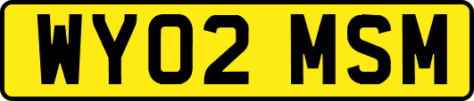 WY02MSM