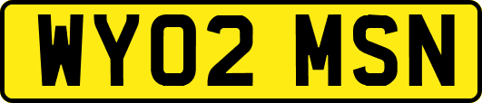 WY02MSN