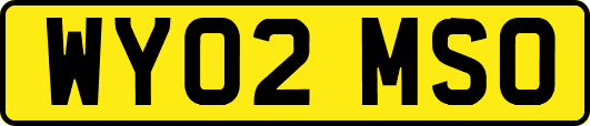 WY02MSO
