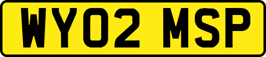 WY02MSP