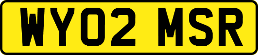 WY02MSR