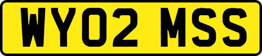 WY02MSS