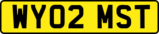 WY02MST