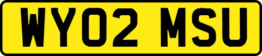 WY02MSU