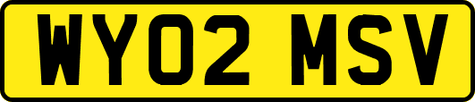 WY02MSV