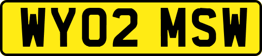 WY02MSW