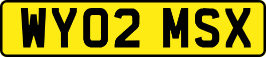 WY02MSX