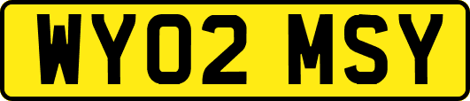 WY02MSY