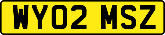 WY02MSZ