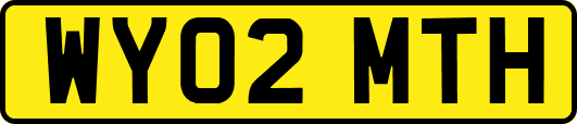 WY02MTH