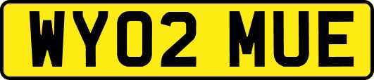 WY02MUE