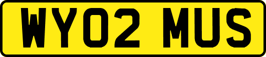 WY02MUS