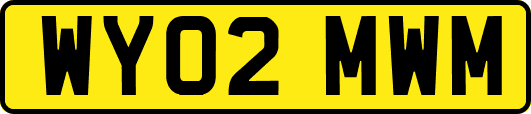 WY02MWM