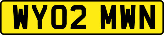 WY02MWN
