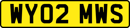 WY02MWS