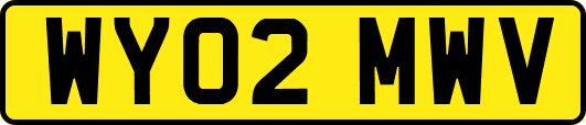 WY02MWV