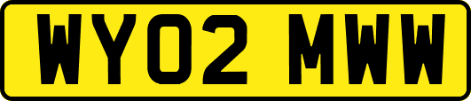 WY02MWW
