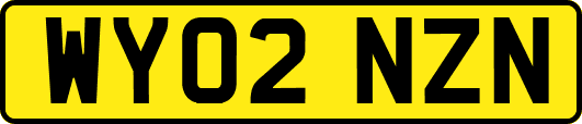 WY02NZN