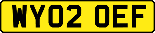 WY02OEF