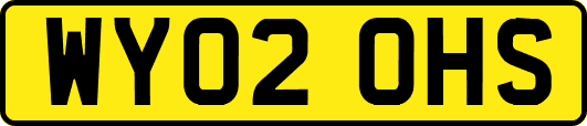 WY02OHS