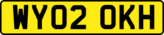 WY02OKH